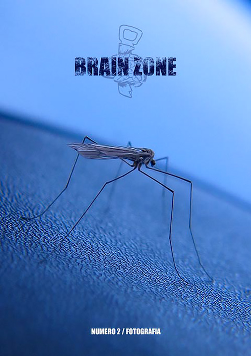 Brain Zone n. 2: fotografia